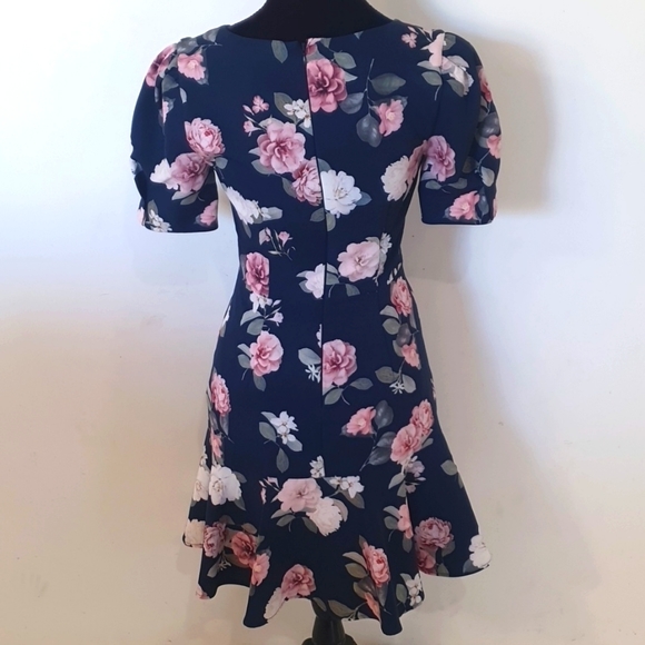 Forever New Size 8 Floral Pink and Blue Dress - Picture 5 of 7